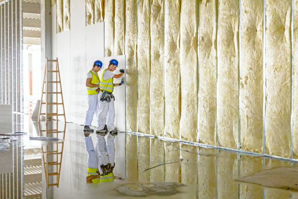 Best Specialized Insulation Services in Bedford, VA